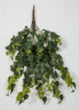 A-186030 - Unshaped & Hanging
24" Outdoor Hanging English Ivy