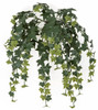 A-186030 - Varigated Green 
24" Outdoor Hanging English Ivy