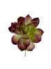 A-172150 - Green with Purple
5" Succulent Pick