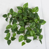 P-190490
14" Pothos Bush
Variegated Green/Cream