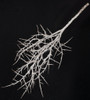 Plastic Thorn Twig Branch