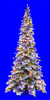 C-191439
12' Flocked Sitka Spruce 
with Multi-Colored LED Lights