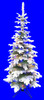 C-191409 
5' Flocked Sitka Spruce with Multi-Colored LED Lights