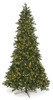 C-191224 - 9' St. Lucia Fir Tree