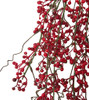 Close Up of Hanging Red Berries