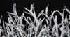 Close Up of Flocked Twig Mat