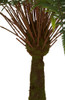 68 Inch Potted Fern Tree with Synthetic Trunk