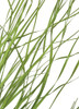 26 Inch Light Green PVC Wild Onion Grass Bush