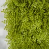 Close Up of Lime Green Button Fern