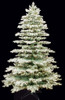 9' Flocked Highland Spruce Tree