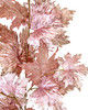 Close Up of Mixed Metallic/Glittered Maple Leaf
