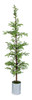 A-200310
7' Plastic Potted Juniper Tree