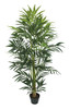 5.5' Soft Touch Bella Palm Tree