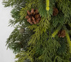 Close Up Plastic Mixed Pine with Pine Cones