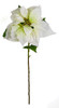 28" Velvet White/Green Poinsettia Stem