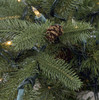 Colorado Spruce Foliage with Pine Cones and Clear Lights