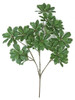 PR-160580 - Fire Retardant
20" Variegated Pittosporum Branch
Green/White