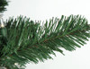 Winchester Pine Needle