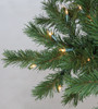 Winchester Pine Tips with Lights
Medium Length