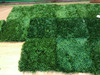 Mix match of Green Japanese Boxwood Mats