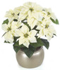P-1135
24" Poinsettia Bush
7 Cream Flowers
Decorative Pot Sold Separately