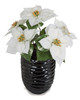 P-150240
18" Velvet Poinsettia Bush 
5 White Flowers
Bare Stem