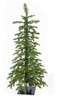 A-210024B - 3' Celina Fir Tree with Black Metal Base
Battery Operated LED Rice Lights