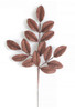 A-260210 - Chocolate Brown