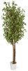 7' Polyblend Outdoor Birch Tree x 3