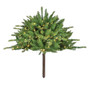 C-220734
23" Spruce Half Ball