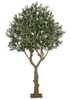10' FireSafe Olive Tree with Metal Base Plate
Fire Retardant Tree (except Olives)