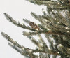 C-230544 - Close up of Flocked Siberian Spruce Tree with Pinecones and LED Lights