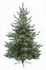 C-230074 - 7.5' Pacific Fir Tree