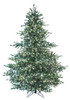 C-230764 - 9' Montana Spruce Spruce