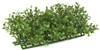 A-04201 - 10" Boxwood Edge for Hedges