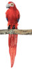 B-0012
20" Red Macaw