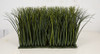 A-152260 - Polyblend Wild Green Meadow Grass