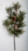 Mixed Austrian Pine Spray with Pine Cones and Twigs