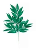 A-260234 -  Emerald Green