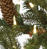 Warm White T5 Mini LED Lights