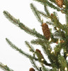 Close Up of Siberian Spruce Tips with LED Lights