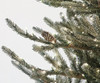 C-230544 - Close up of Flocked Siberian Spruce Tree with Pinecones and LED Lights