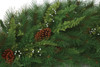 Close Up of Mixed Pine Woodglen Garland