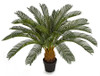 A-195900 - 36"  Palm Cluster