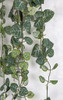 Close up of 31" Hanging Rosary Fig Bush