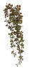 A-182090 - 24" Dischidia Succulent Vine