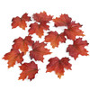 Bag of 12  Mixed  Fall Maple Leaves