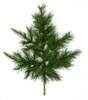 PVC Scotch Pine Spray