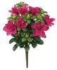 A-144150 -  Beauty
14" Azalea Bush