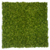 AUR-240702 - Light Green